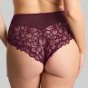 Panache Allure Deep Brief - Plum-thumb Mid high stretch lace briefs. 36-46 10764-PLM