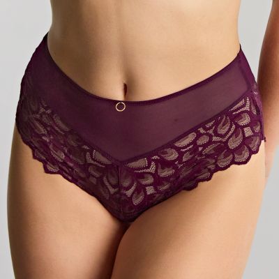 Panache Allure Deep Brief - Plum Mid high stretch lace briefs. 36-46 10764-PLM