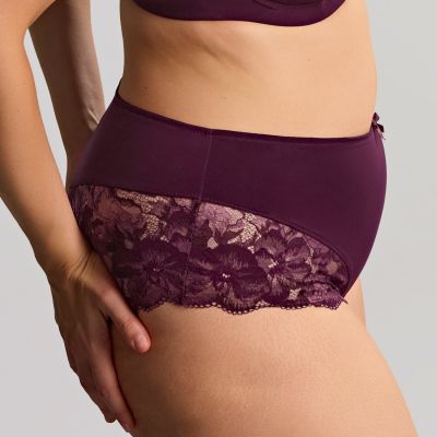 Sculptresse by Panache Amara Deep Brief - Plum  M/38 - 5XL/50 11264-PLM