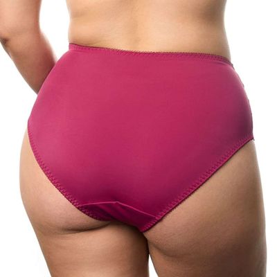 Plaisir Beate Midi Brief - Rose Midi briefs with stretch lace inserts at front. 42-56 144-14/ROS