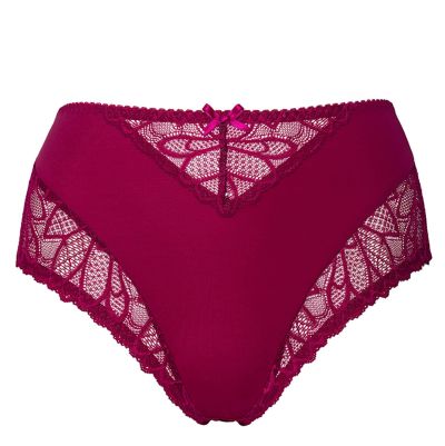 Plaisir Beate Midi Brief - Rose Midi briefs with stretch lace inserts at front. 42-56 144-14/ROS