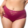 Plaisir Beate Midi Brief - Rose-thumb Midi briefs with stretch lace inserts at front. 42-56 144-14/ROS