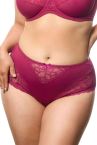 Plaisir Beate Midi Brief - Rose-thumb Midi briefs with stretch lace inserts at front. 42-56 144-14/ROS