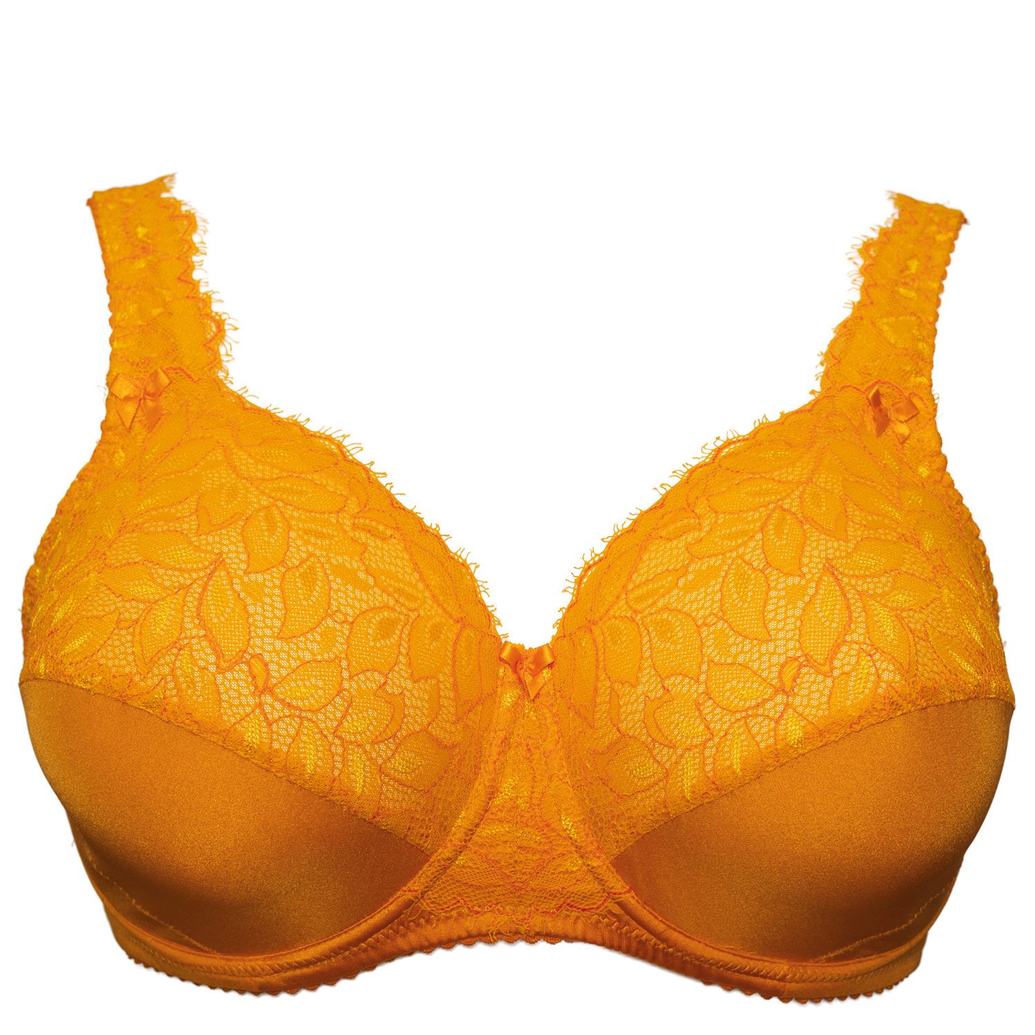 Plaisir Beate Full Cup Flame | Lumingerie bras and underwear for big busts