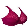 Plaisir Beate UW Full Cup Bra - Rose-thumb Underwired, non padded, stretch lace full cup bra. 80-110 D-H 619431-14/ROS