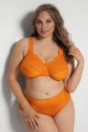 Plaisir Beate Full Cup Bra Flame Orange-thumb Underwired, non padded, stretch lace full cup bra 80-110 D-H 619431-FLE