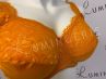 Plaisir Beate Full Cup Bra Flame Orange-thumb Underwired, non padded, stretch lace full cup bra 80-110 D-H 619431-FLE