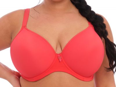 Elomi Bijou UW Moulded Plunge Bra Cayenne Underwired t-shirt bra with seam-free, moulded cups 75-100, F-K EL8722-CYN