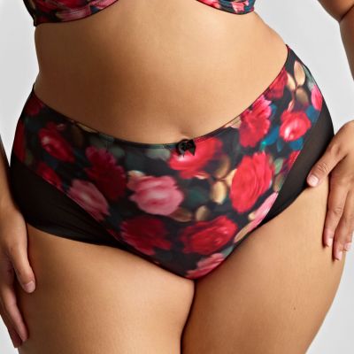 Sculptresse by Panache Bliss Deep Brief Rose Print Normal rise, high leg brief. L/40 - 5XL/50 10682A-ROSE