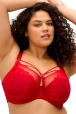 Brianna UW Plunge Bra - Haute Red