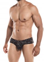 C4M05 Cheeky brief dollar