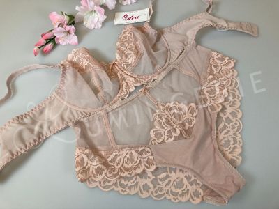 Ava Lingerie Casabella Briefs Powder Pink  M-3XL F-1992-POW
