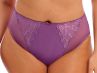 Elomi Charley High Leg Brief Pansy-thumb Waist high midi brief with high legs. M-4XL EL4386-PAY