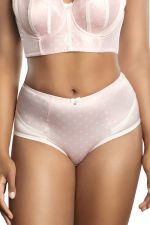 Charlotte High Waist Briefs Petal Pink Dot