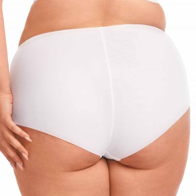 Nessa Coco Midi Brief White Normal rise mesh brief with guipure front. 40-52 NO2-WHE