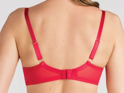 Gorsenia Crazy Heart Soft Bra Red Underwired, non-padded mesh bra with embroidery. 70-100, D-M K828