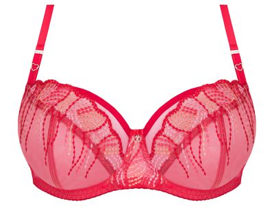 Gorsenia Crazy Heart Soft Bra Red Underwired, non-padded mesh bra with embroidery. 70-100, D-M K828