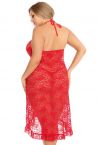 Anaïs apparel Anaïs Dion Lace Dress Red-thumb  Plus sizes 