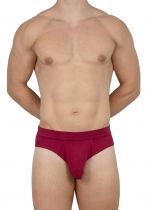 EliteMan Brief Maroon