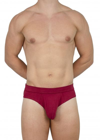 Obviously EliteMan Brief Maroon Brief 90% Lenzing MicroModal, 10% Lycra <br> S-XL F02-1L