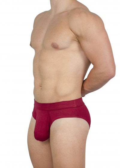 Obviously EliteMan Brief Maroon Brief 90% Lenzing MicroModal, 10% Lycra <br> S-XL F02-1L