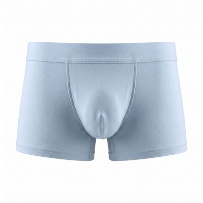 Obviously EliteMan Trunk Celestial blue Trunk 90% Lenzing MicroModal, 10% Lycra <br> S-XL F03-2E