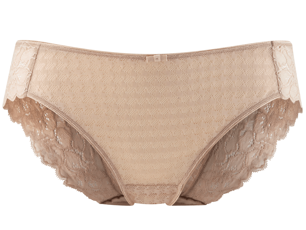Panache Envy Brief Nude by Panache  Lumingerie bras and underwear for big  busts