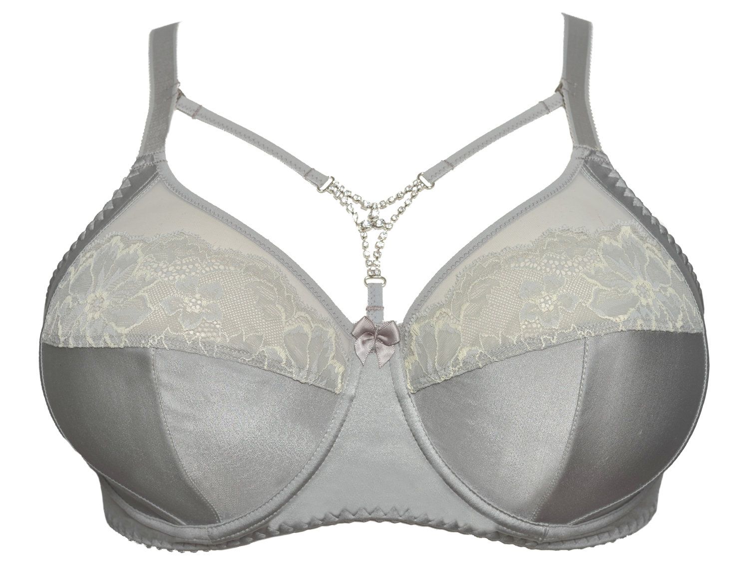 Plaisir Grace Full Cup Bra Silvery  Lumingerie bras and underwear for big  busts