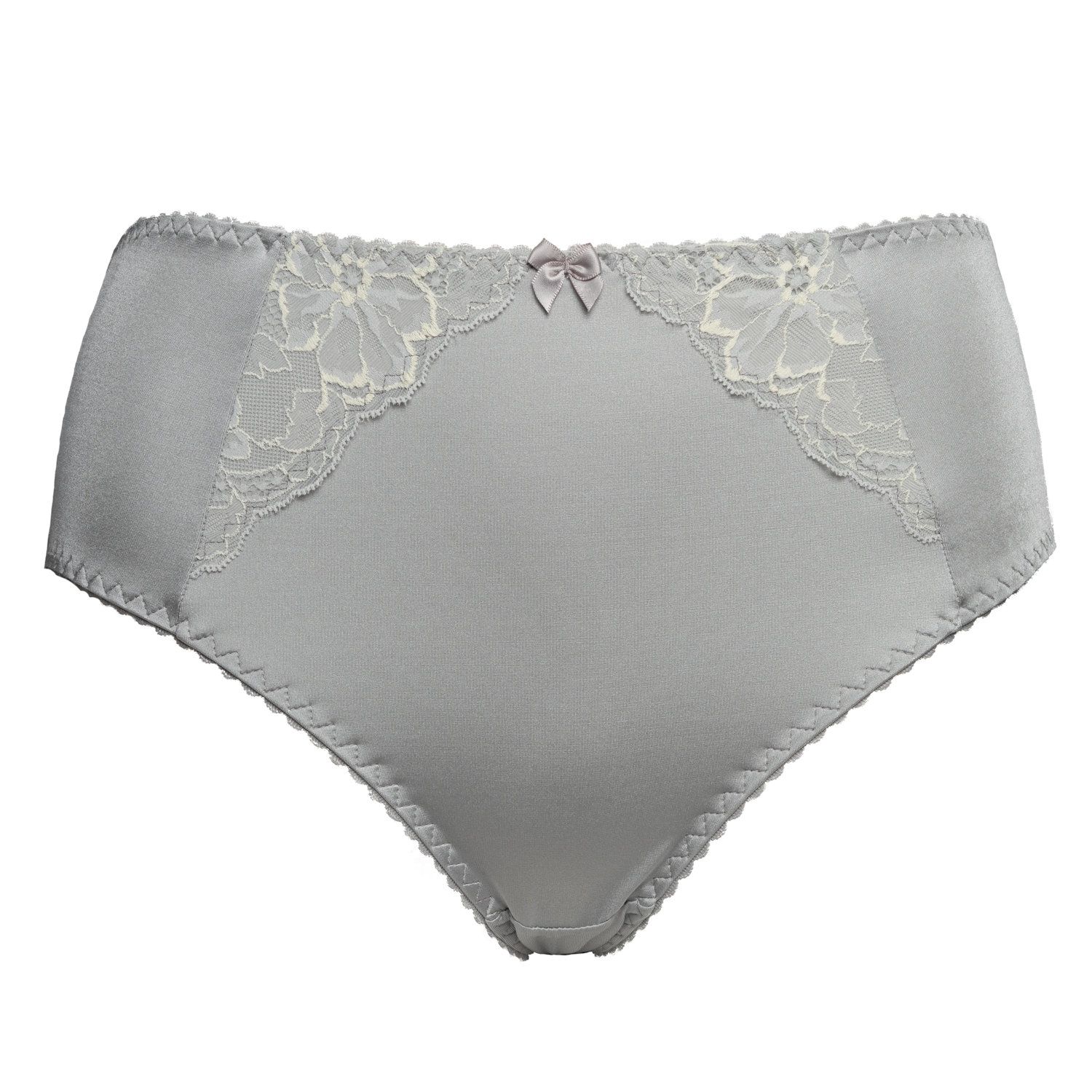 Plaisir Grace Maxi Briefs Silvery  Lumingerie bras and underwear for big  busts