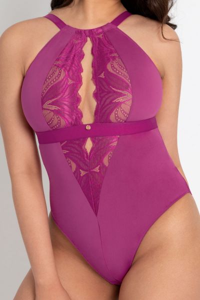 Scantilly by Curvy Kate Indulgence Lace Body Orchid Latte Nonwired lace body with adjustable straps to fit DD-HH cups S-2XL ST-010-704-ORC-LAE