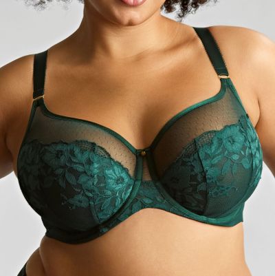 Sculptresse by Panache Josephine UW Full Cup Bra Forest Green Underwired non-padded full cup mesh tulle bra. 75-105, E-O 10855A-FOG