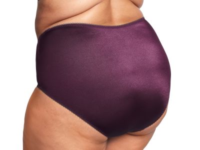 Goddess Keira Brief Damson  M-4XL GD6095-DAN