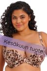 Elomi Lucie UW Stretch Plunge Bra - Wild Cat-thumb Underwired, full cup plunge bra with stretch lace. 70-100, E-O EL4490-WIT