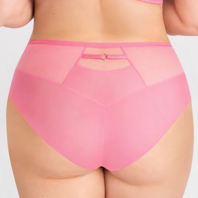 Gorsenia Lollipop Brief Rose Briefs with embroidery and strap details. L/40 - 4XL/48 K847