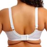 Elomi Lucie UW Stretch Plunge Bra White-thumb Underwired, full cup plunge bra with stretch lace. 70-100, E-O EL4490-WHE