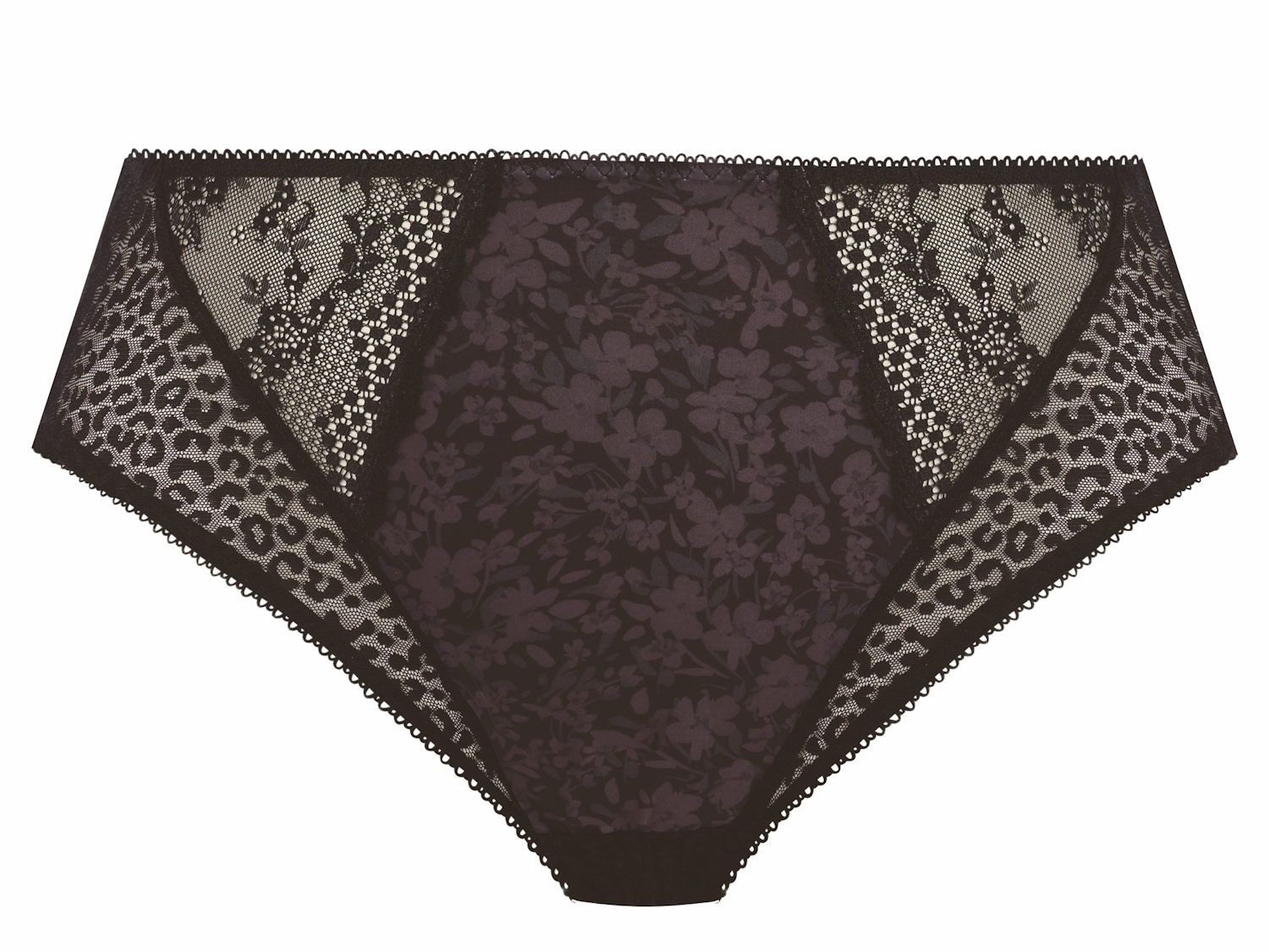 Elomi Lucie High Leg Brief Panty