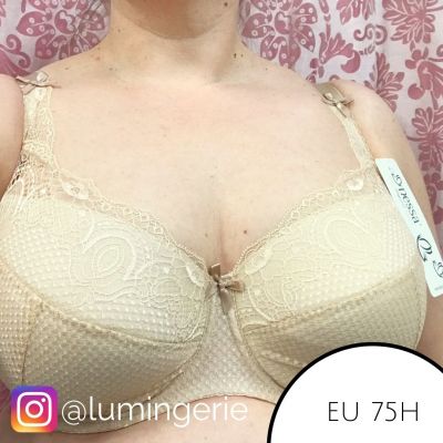 Nessa Abbi Padded Bra Beige Underwired, padded bra 60-95, D-M ABB-N502-BEZ