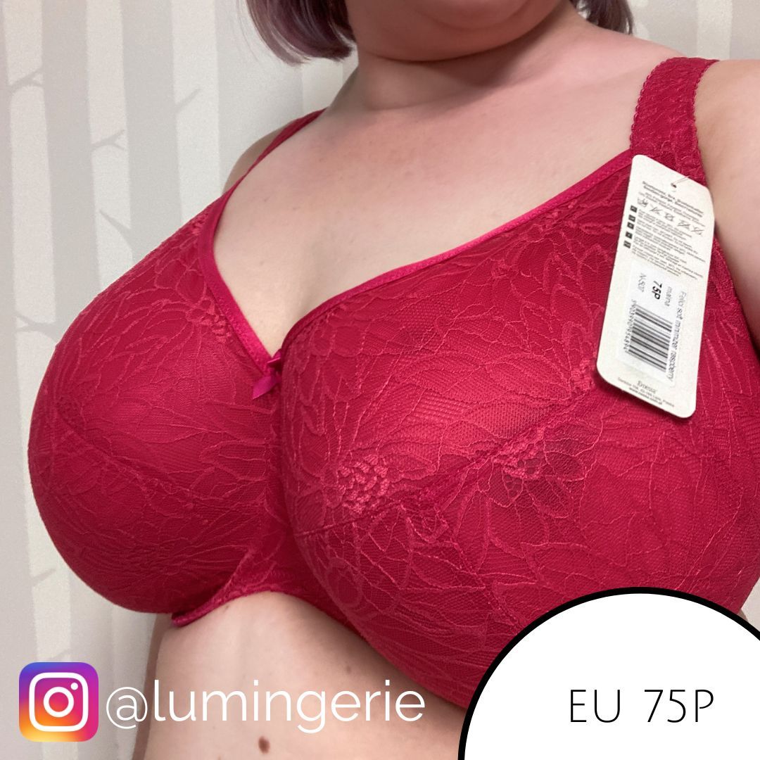 Nessa Felici Soft Comfort Minimizer Bra Raspberry Lumingerie