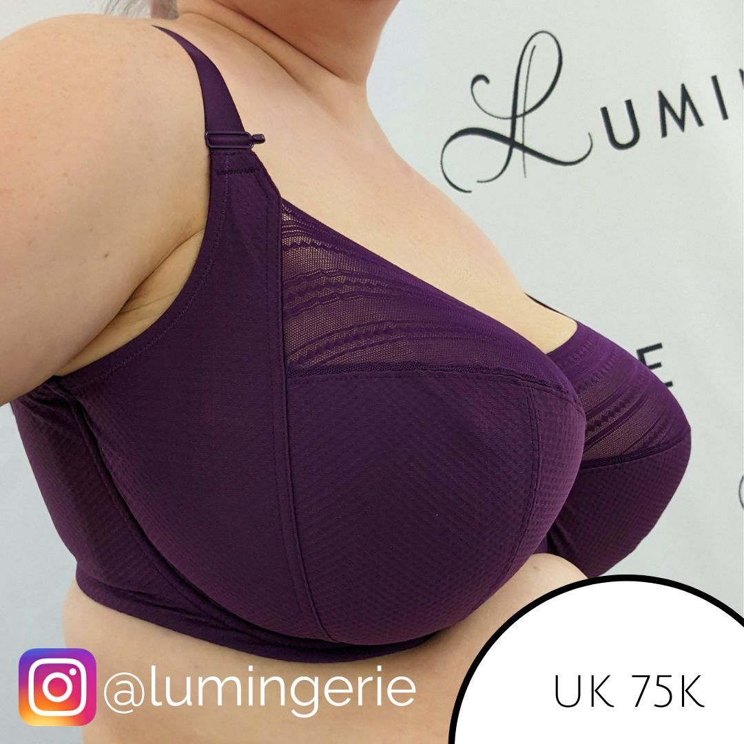 Panache Serene Full Cup Bra Aubergine  Lumingerie bras and underwear for  big busts