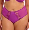 Elomi Matilda Full Brief Hollyhock Daisy-thumb  M/40 - 4XL/50 EL8906-HOC
