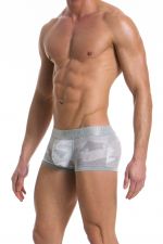 Desert Boxer grey