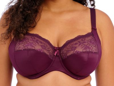 Elomi Morgan UW Banded Bra Blackberry Underwired, non-padded banded bra in full cup. 70-100, E-O EL4111-BLY