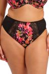 Elomi Morgan High Leg Brief - Hot House-thumb Normal high waist, high cut legs. M/40 - 4XL/50 EL4118-HOU