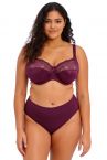 Elomi Morgan UW Banded Bra Blackberry-thumb Underwired, non-padded banded bra in full cup. 70-100, E-O EL4111-BLY