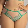 Ava Lingerie Moss Brief Green-thumb  L/40-3XL/46 AV2161F-GRE