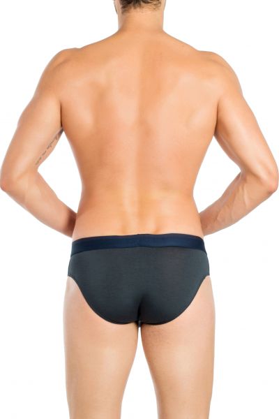 Obviously FreeMan Brief Ash Brief 90% Bamboo Rayon, 10% Lycra  S-XL C02-1U