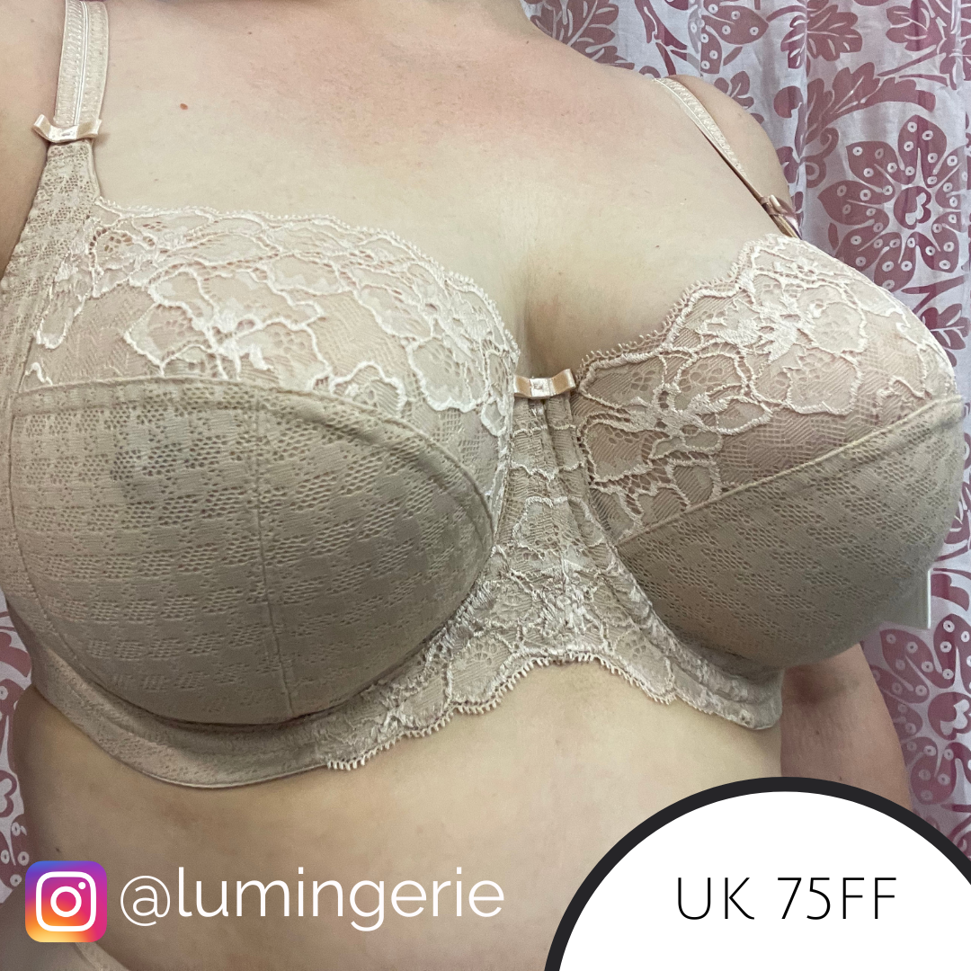 https://www.lumingerie.com/images/products/panache-envy-lumingerie_orig.png