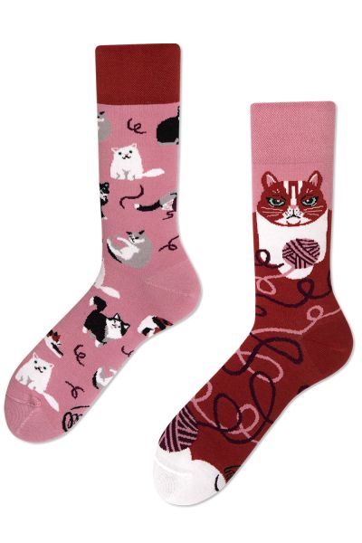 Many Mornings  Playful Cat Regular Socks 1 pair  35-38, 39-42, 43-46 R8