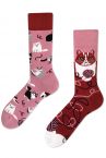 Many Mornings  Playful Cat Regular Socks 1 pair-thumb  35-38, 39-42, 43-46 R8