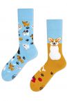 Many Mornings  Playful Dog Regular Socks 1 pair-thumb  35-38, 39-42, 43-46 R92